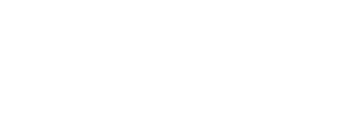 Modern BizOps